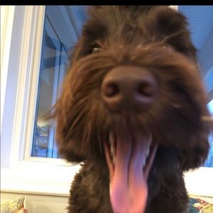 Meet your Posher, Jillian